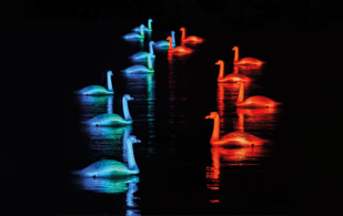 Vivid Sydney 2025 (3)