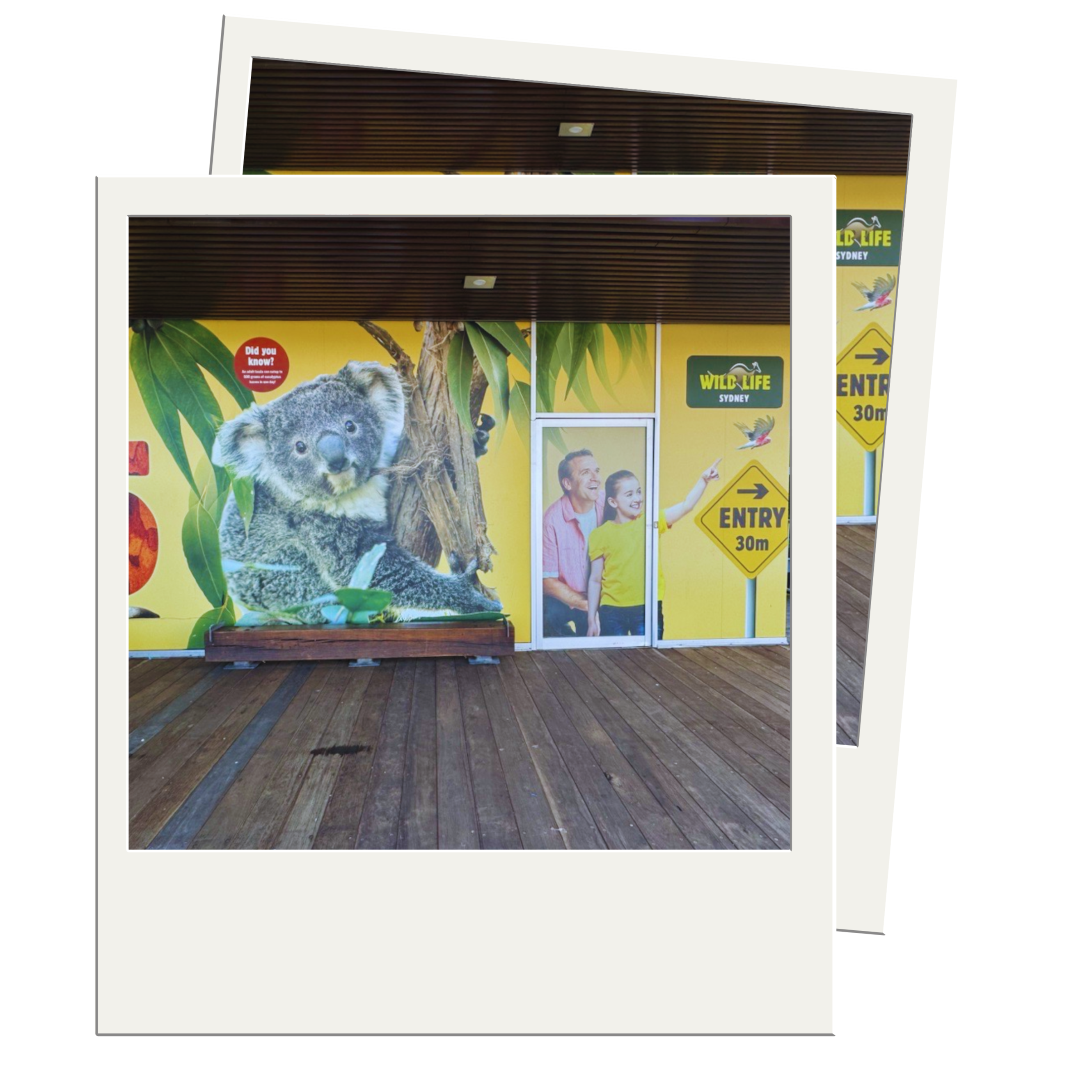 WorkLife imagery (58)-1