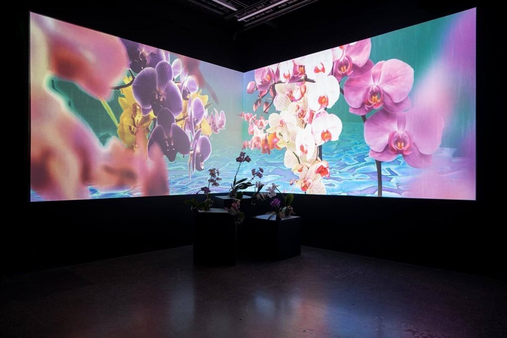 barangaroo-live-event-sophie