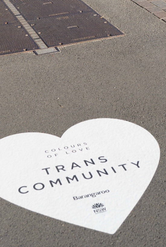 Trans Community