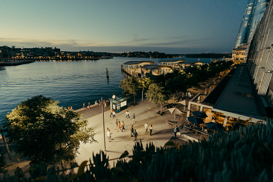 _DSC6708_550